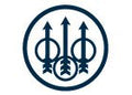 Beretta organe de ochire